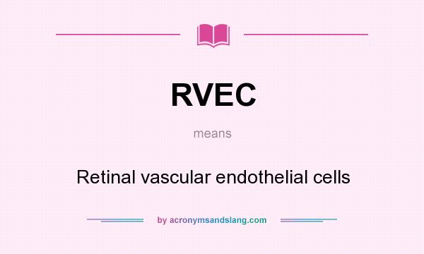 What does RVEC mean? It stands for Retinal vascular endothelial cells