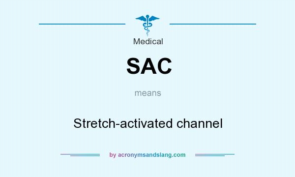 What does SAC mean? It stands for Stretch-activated channel