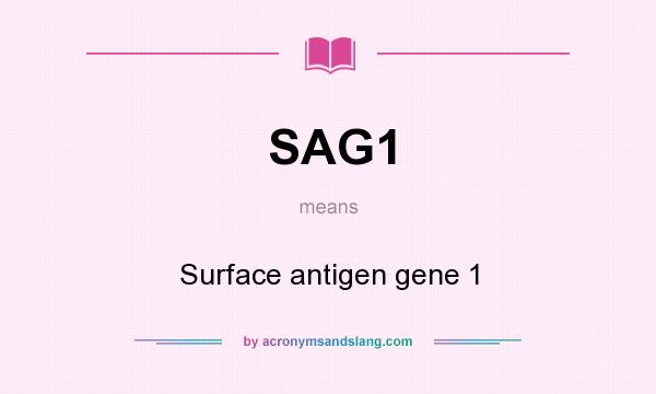 What does SAG1 mean? It stands for Surface antigen gene 1
