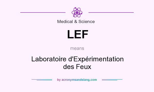 What does LEF mean? It stands for Laboratoire d`Expérimentation des Feux