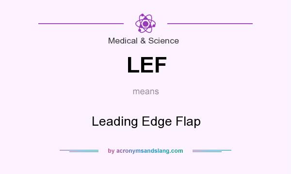 What does LEF mean? It stands for Leading Edge Flap
