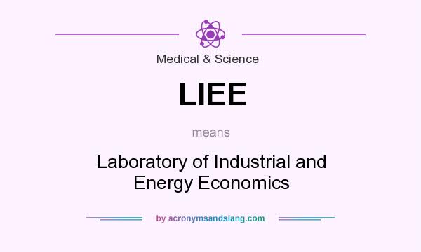 What does LIEE mean? It stands for Laboratory of Industrial and Energy Economics
