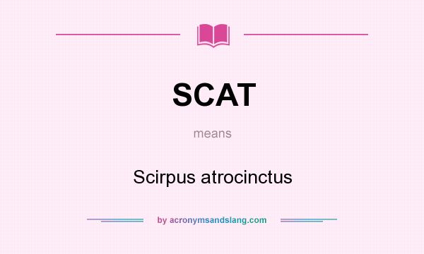 What does SCAT mean? It stands for Scirpus atrocinctus