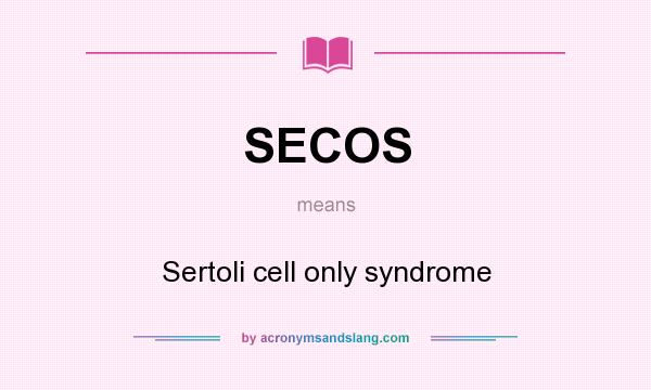 What does SECOS mean? It stands for Sertoli cell only syndrome