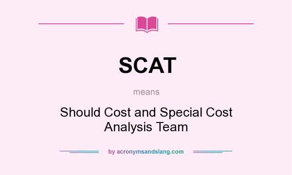What does SCAT mean? It stands for Should Cost and Special Cost Analysis Team