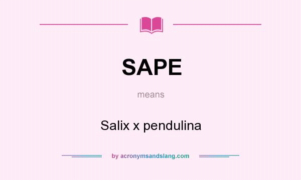 What does SAPE mean? It stands for Salix x pendulina