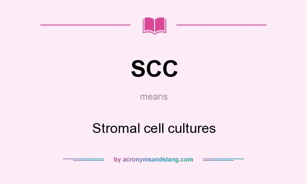 What does SCC mean? It stands for Stromal cell cultures