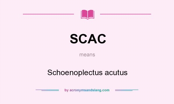 What does SCAC mean? It stands for Schoenoplectus acutus