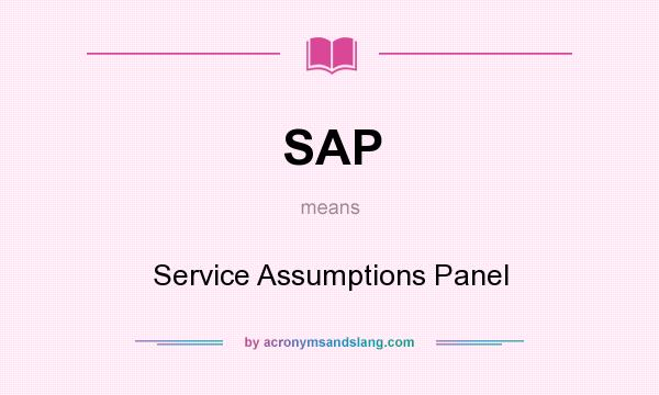What does SAP mean? It stands for Service Assumptions Panel