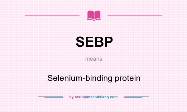 What does SEBP mean? It stands for Selenium-binding protein