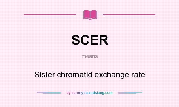 What does SCER mean? It stands for Sister chromatid exchange rate