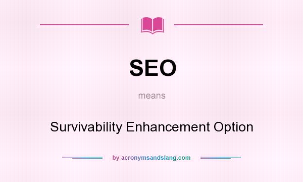 What does SEO mean? It stands for Survivability Enhancement Option