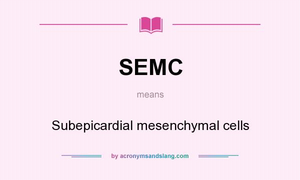 What does SEMC mean? It stands for Subepicardial mesenchymal cells