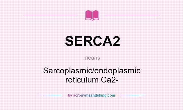What does SERCA2 mean? It stands for Sarcoplasmic/endoplasmic reticulum Ca2-