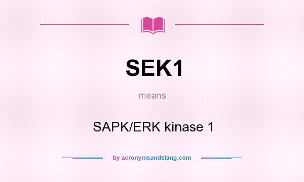 What does SEK1 mean? It stands for SAPK/ERK kinase 1