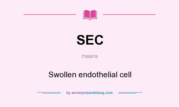 What does SEC mean? It stands for Swollen endothelial cell