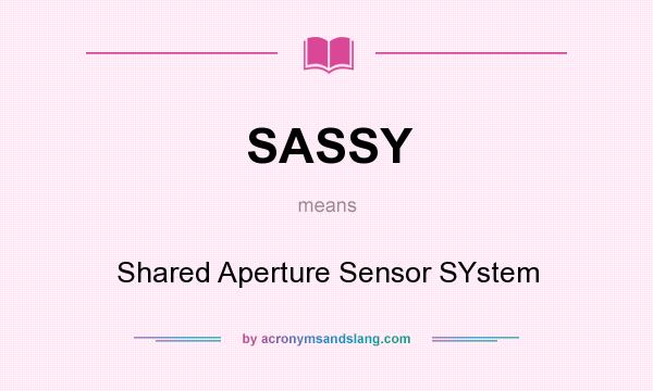 What does SASSY mean? It stands for Shared Aperture Sensor SYstem