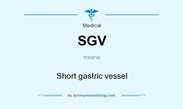 What does SGV mean? It stands for Short gastric vessel