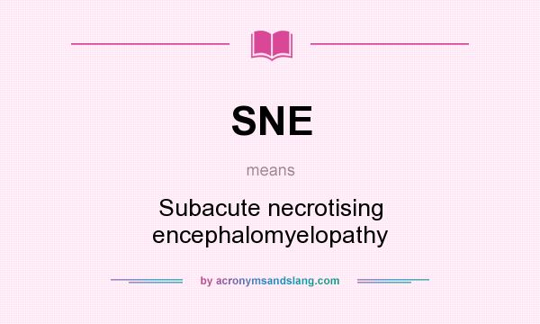 What does SNE mean? It stands for Subacute necrotising encephalomyelopathy