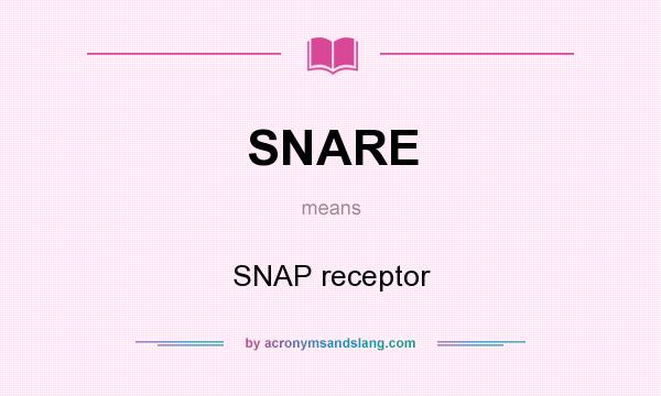 What does SNARE mean? It stands for SNAP receptor