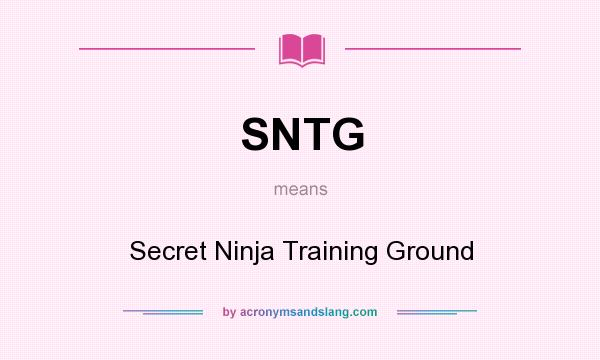 What does SNTG mean? It stands for Secret Ninja Training Ground