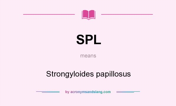 What does SPL mean? It stands for Strongyloides papillosus