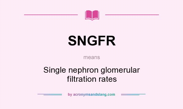 What does SNGFR mean? It stands for Single nephron glomerular filtration rates