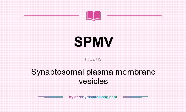 What does SPMV mean? It stands for Synaptosomal plasma membrane vesicles