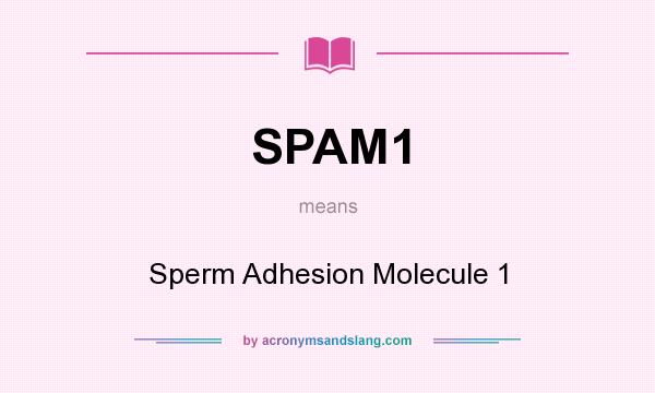 What does SPAM1 mean? It stands for Sperm Adhesion Molecule 1