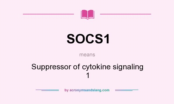 What does SOCS1 mean? It stands for Suppressor of cytokine signaling 1