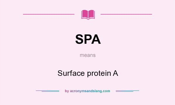 What does SPA mean? It stands for Surface protein A
