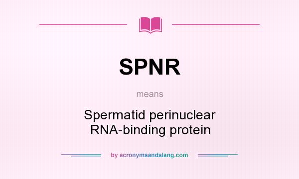 What does SPNR mean? It stands for Spermatid perinuclear RNA-binding protein