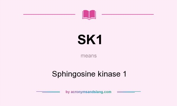 What does SK1 mean? It stands for Sphingosine kinase 1