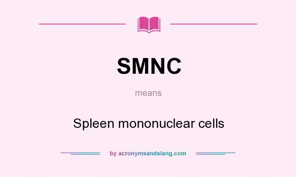 What does SMNC mean? It stands for Spleen mononuclear cells