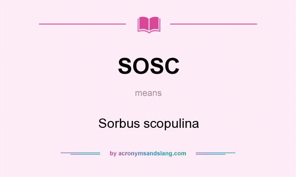 What does SOSC mean? It stands for Sorbus scopulina