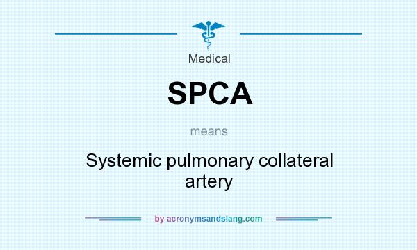 What does SPCA mean? It stands for Systemic pulmonary collateral artery