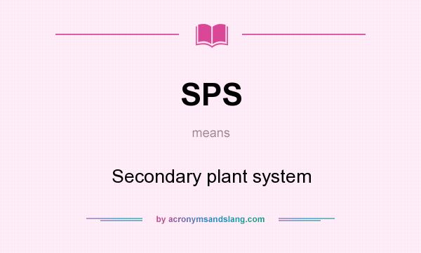 What does SPS mean? It stands for Secondary plant system