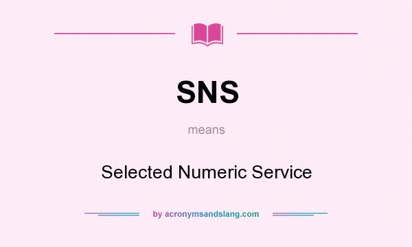 What does SNS mean? It stands for Selected Numeric Service