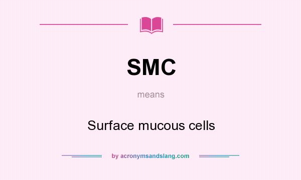 What does SMC mean? It stands for Surface mucous cells