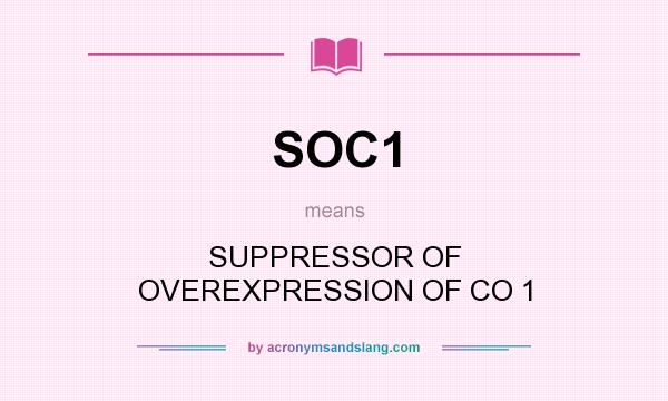 What does SOC1 mean? It stands for SUPPRESSOR OF OVEREXPRESSION OF CO 1