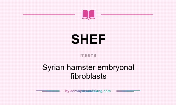 What does SHEF mean? It stands for Syrian hamster embryonal fibroblasts