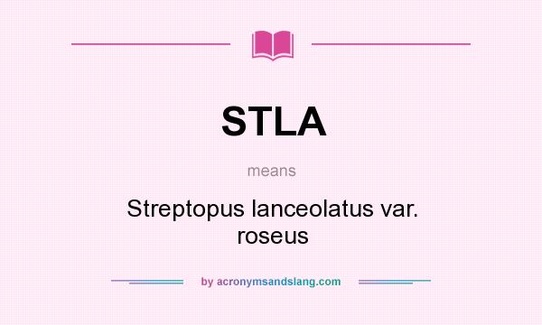 What does STLA mean? It stands for Streptopus lanceolatus var. roseus