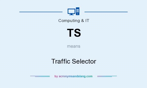 What does TS mean? It stands for Traffic Selector