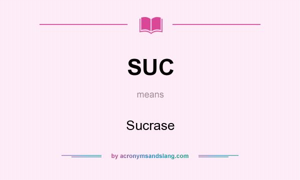 What does SUC mean? It stands for Sucrase