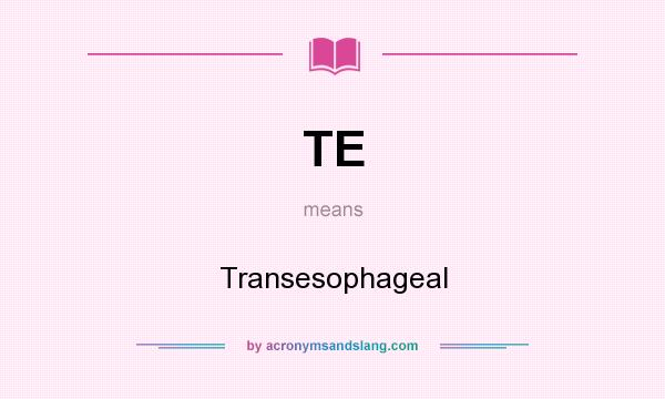 What does TE mean? It stands for Transesophageal