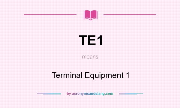 What does TE1 mean? It stands for Terminal Equipment 1