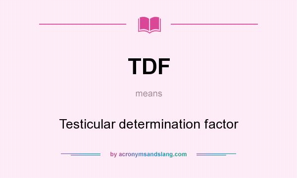 What does TDF mean? It stands for Testicular determination factor