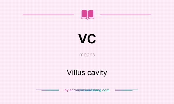 What does VC mean? It stands for Villus cavity