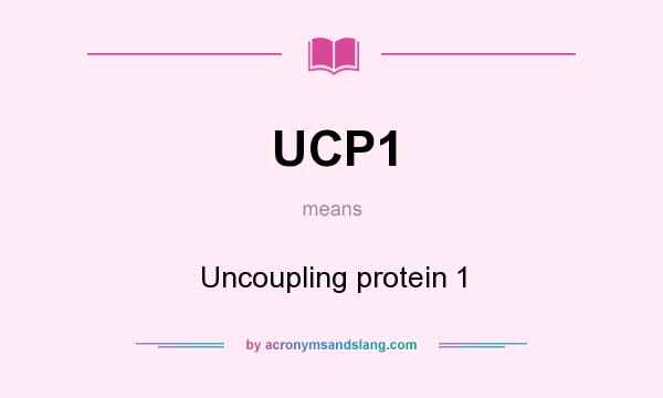 What does UCP1 mean? It stands for Uncoupling protein 1