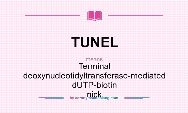What does TUNEL mean? It stands for Terminal deoxynucleotidyltransferase-mediated dUTP-biotin nick